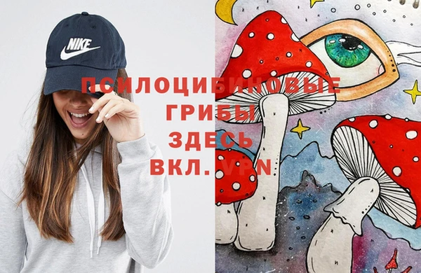 марки nbome Ладушкин