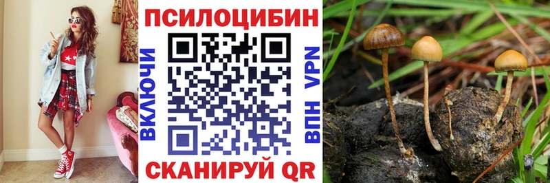 Галлюциногенные грибы ЛСД  Купить закладки  Лакинск 